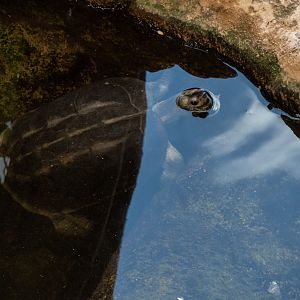 ID - Haus des Meeres