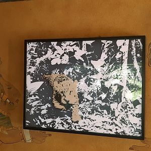 Jaguar Light Up Display