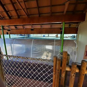 Tiger Exhibit Renovations