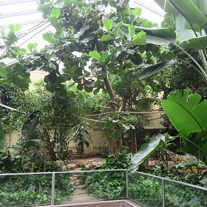 Exotarium - free flight hall