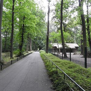 [2022] View of deer enclosure