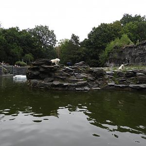 [2022] Polar bear enclosure