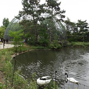 [2022] View of bird aviary and pond