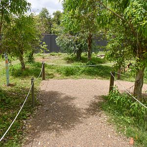 New Small Macropod Walkthrough