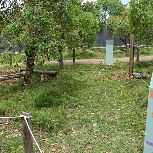 New Small Macropod Walkthrough