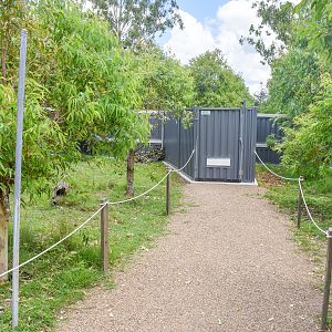 New Small Macropod Walkthrough