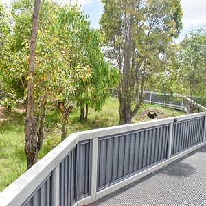 New Southern Hairy-nosed Wombat Enclosure