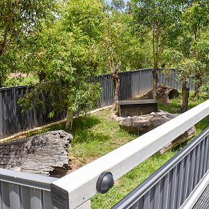 New Echidna enclosure