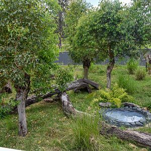 New Tasmanian Devil enclosure