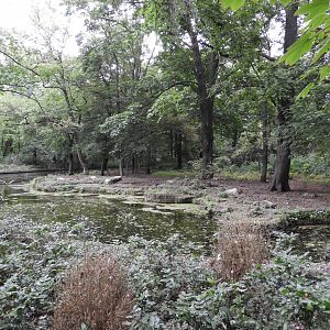 [2022] Wolf enclosure