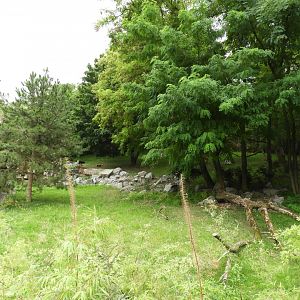 [2022] Red panda enclosure