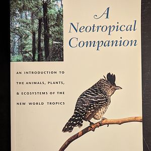 A Neotropical Companion: An Introduction to the Animals, Plants, and Ecosystems of the New World Tropics