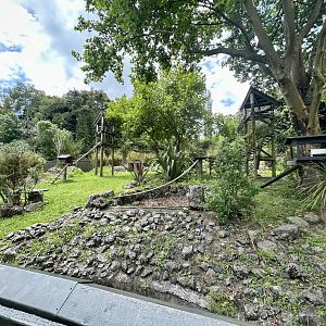 Nepalese Red Panda Exhibit (Summer)