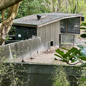 Cape Porcupine Nocturnal House