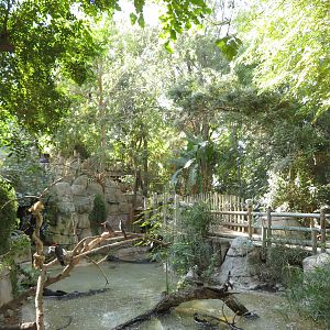 Tropical Rainforest Aviary