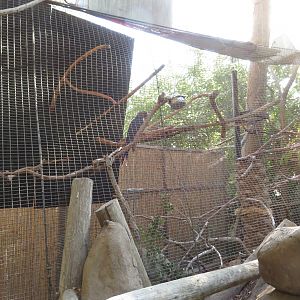 Macaw Side Enclosure