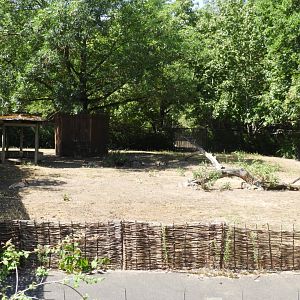 [2022] Agile wallaby enclosure