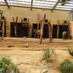 [2022] Part of elephant indoor enclosure
