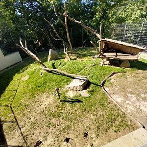 Zoo Stadt Haag - Barbary macaque enclosure