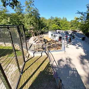 Zoo Stadt Haag - Rooftop terrace monkeyhouse