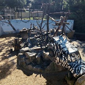 Zoo Stadt Haag - Hamadryas baboon enclosure