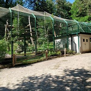 Zoo Stadt Haag - North Chinese leopard - Main enclosure