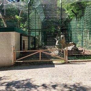 Zoo Stadt Haag - North Chinese leopard second and third enclosure