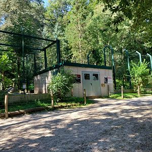 Zoo Stadt Haag - Cougar complex