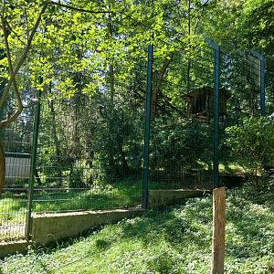 Zoo Stadt Haag - Cougar second enclosure