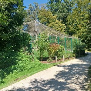 Zoo Stadt Haag - North Chinese leopard main enclosure