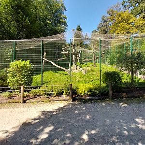 Zoo Stadt Haag - North Chinese leopard main enclosure