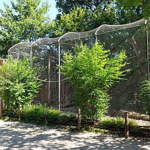 Zoo Stadt Haag - Brown-nosed coati enclosure