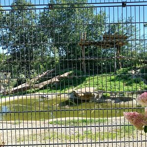 Zoo Stadt Haag - Siberian tiger main enclosure