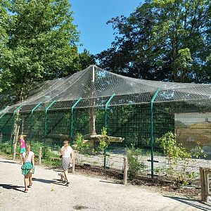 Zoo Stadt Haag - Siberian tiger second enclosure