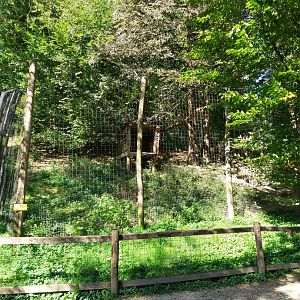 Zoo Stadt Haag - Northern lynx enclosure