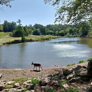Zoo Stadt Haag - General view