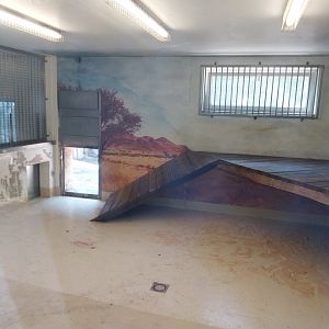 Zoo Stadt Haag - Lion house