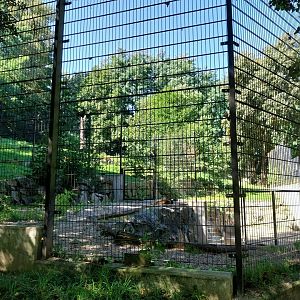 Zoo Stadt Haag - Southwest African lion - seclusion enclosure