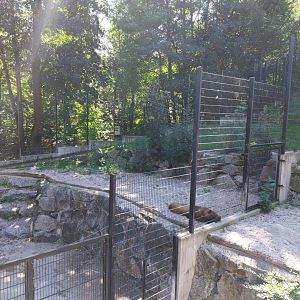 Zoo Stadt Haag - Southwest African lion seclusion enclosure