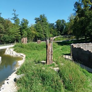 Zoo Stadt Haag - European brown bear & Eurasian wolf enclosure