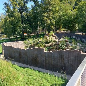 Zoo Stadt Haag - European brown bear & Eurasian wolf - Former bear pit