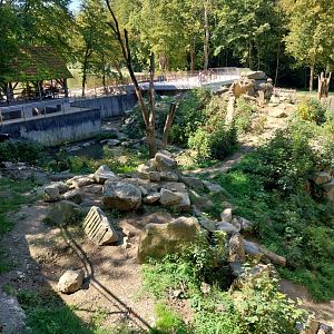 Zoo Stadt Haag - European brown bear & Eurasian wolf - Former bear pit
