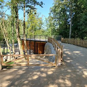 Zoo Stadt Haag - European brown bear & Eurasian wolf - New bear house and viewing point