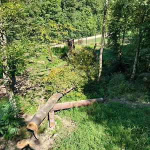 Zoo Stadt Haag - European brown bear & Eurasian wolf enclosure