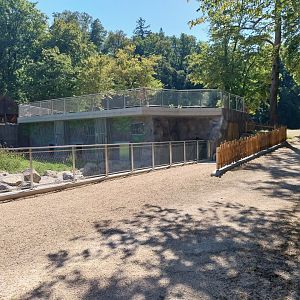 Zoo Stadt Haag - European brown bear & Eurasian wolf - New bear house and viewing point