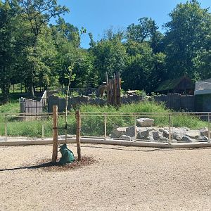Zoo Stadt Haag - European brown bear & Eurasian wolf - New bear house and viewing point - Former bear pit in the background