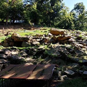 Zoo Stadt Haag - Alpine ibex enclosure