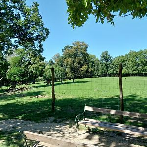 Zoo Stadt Haag - Red deer enclosure