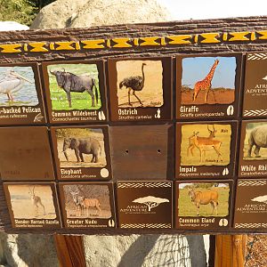 African Savanna Species Sign 1