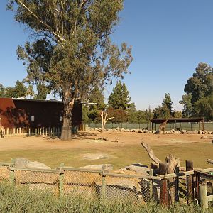 Giraffe/Hoofstock Exhibit